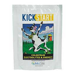 Kick Start Colostrum Electrolytes & Energy Daily Nutritional Calf Supplement Imu-Tek Animal Health